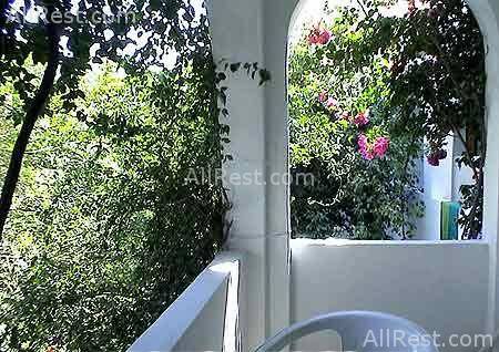 Amaryllis Hotel 18